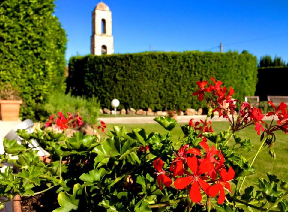 Photo of Others in Canosa di Puglia
