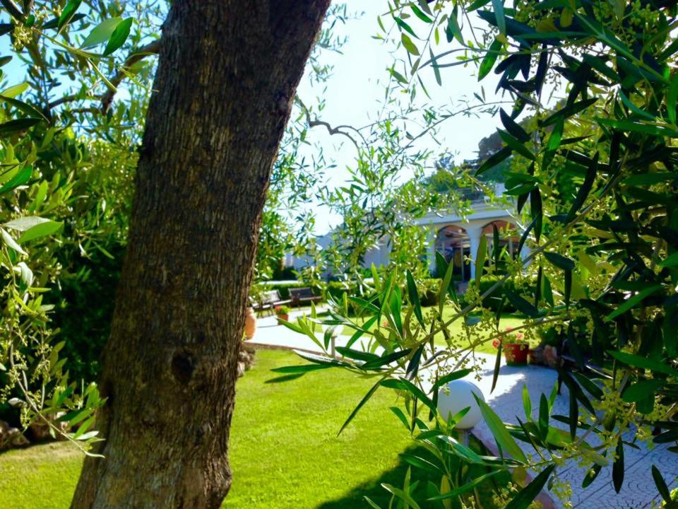 Photo of Others in Canosa di Puglia