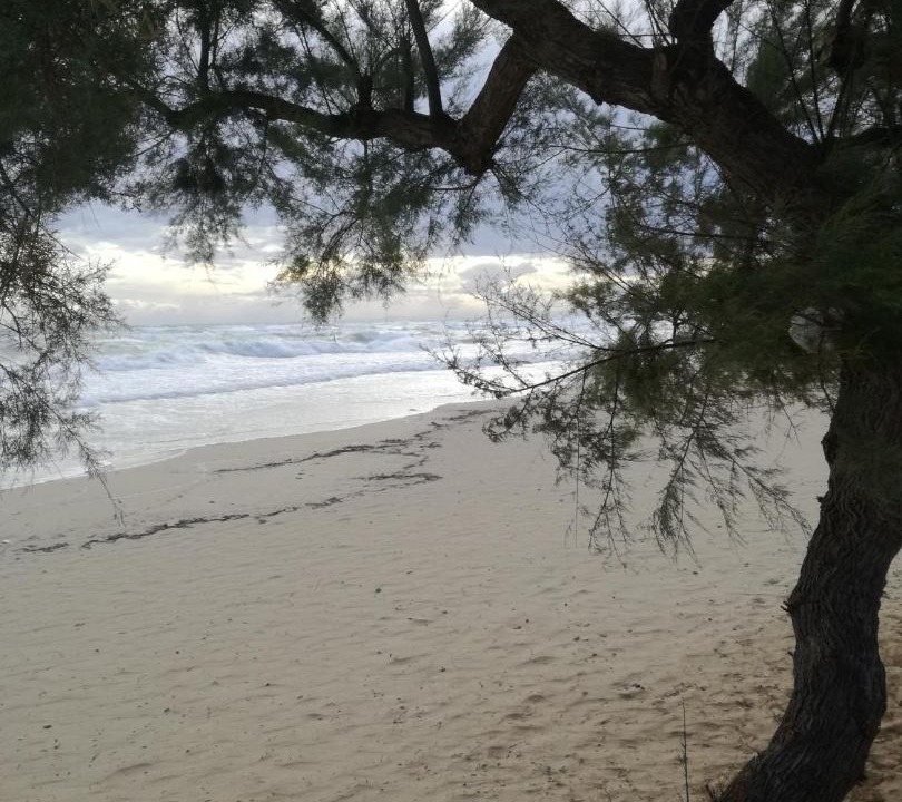 Photo of Others in Torre Ovo