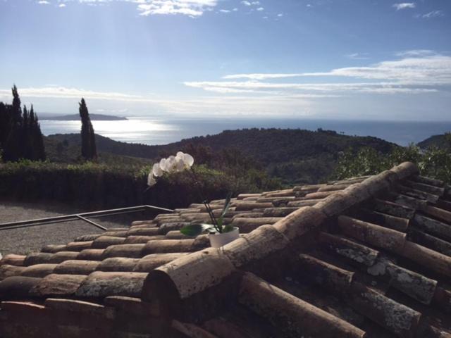 Photo of Others in Porto Ercole