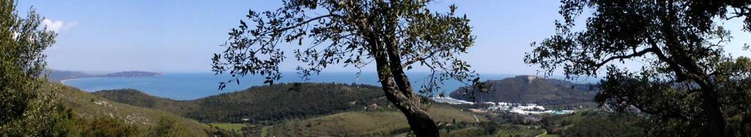 Photo of Others in Porto Ercole