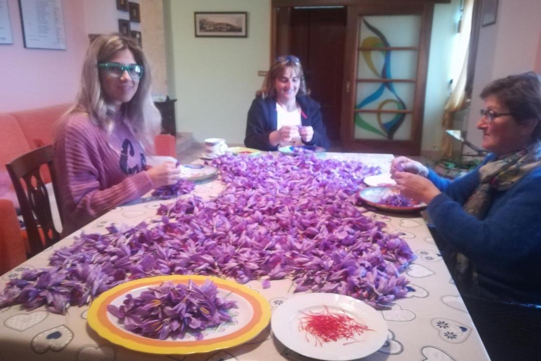 Photo of Others in Pescina