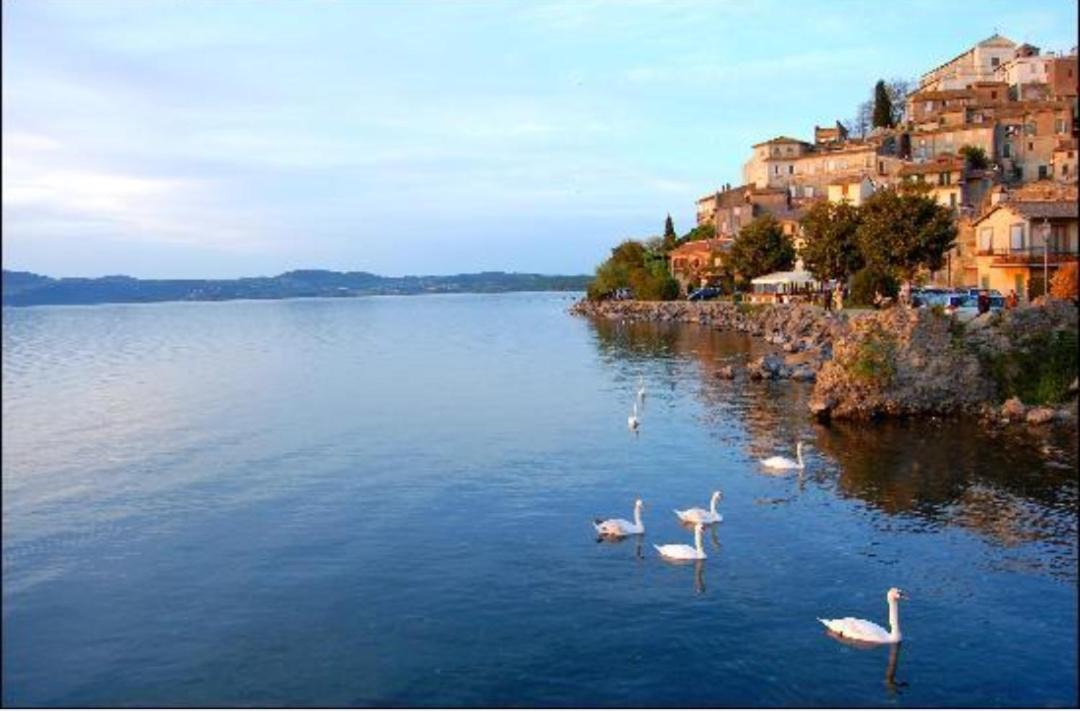 Photo of Others in Lake Bracciano