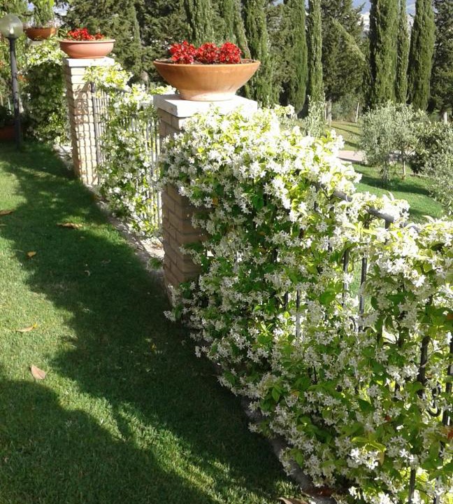 Photo of Others in Montemerano