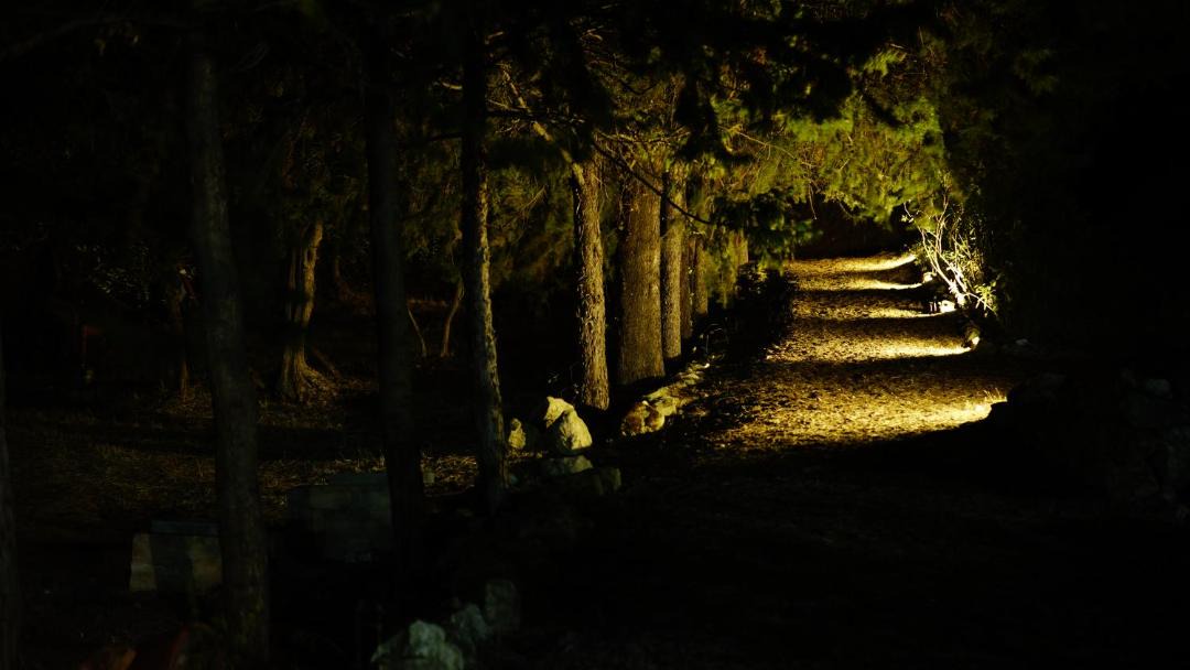 Photo of Others in Larino