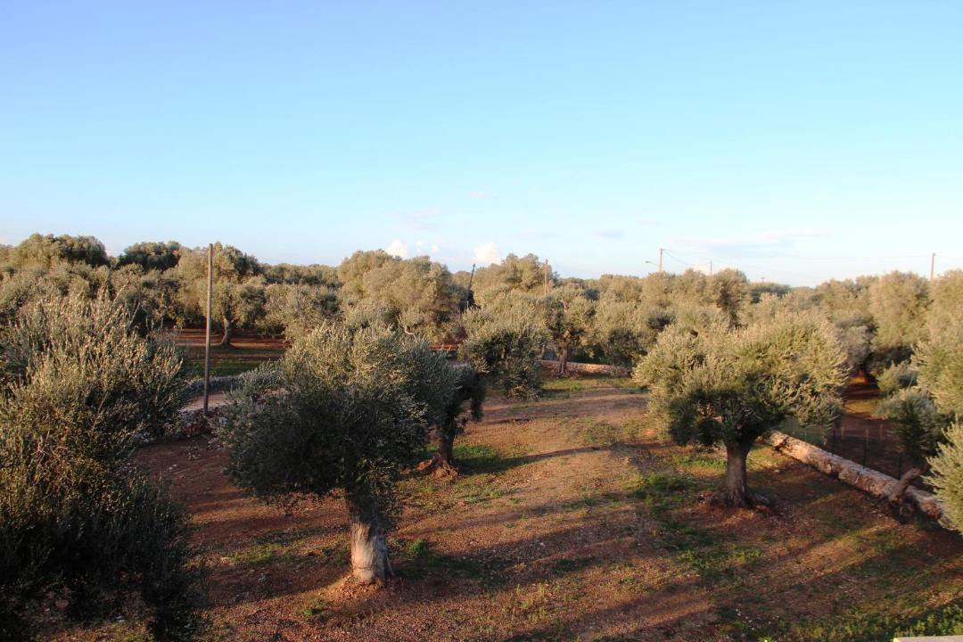 Photo of Others in San Vito dei Normanni