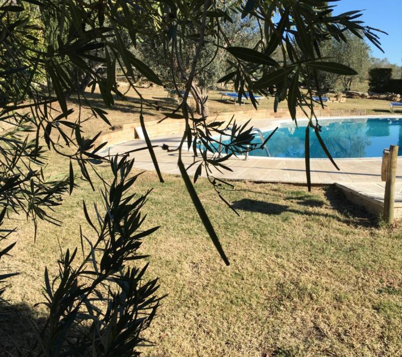 Photo of Others in Saturnia
