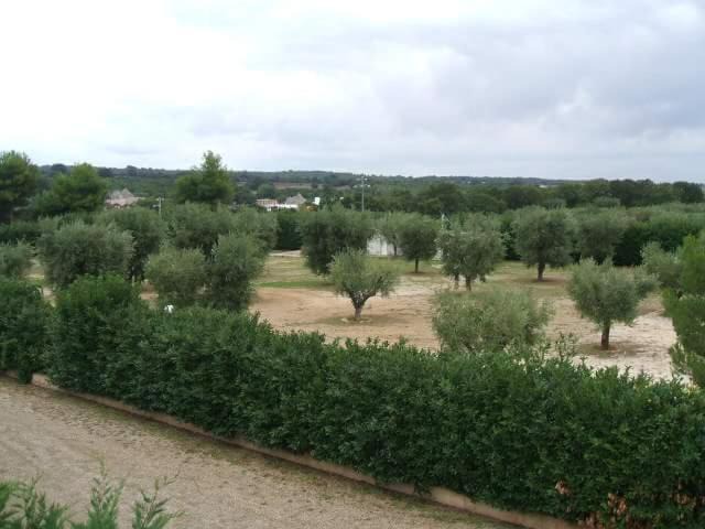 Photo of Others in Martina Franca