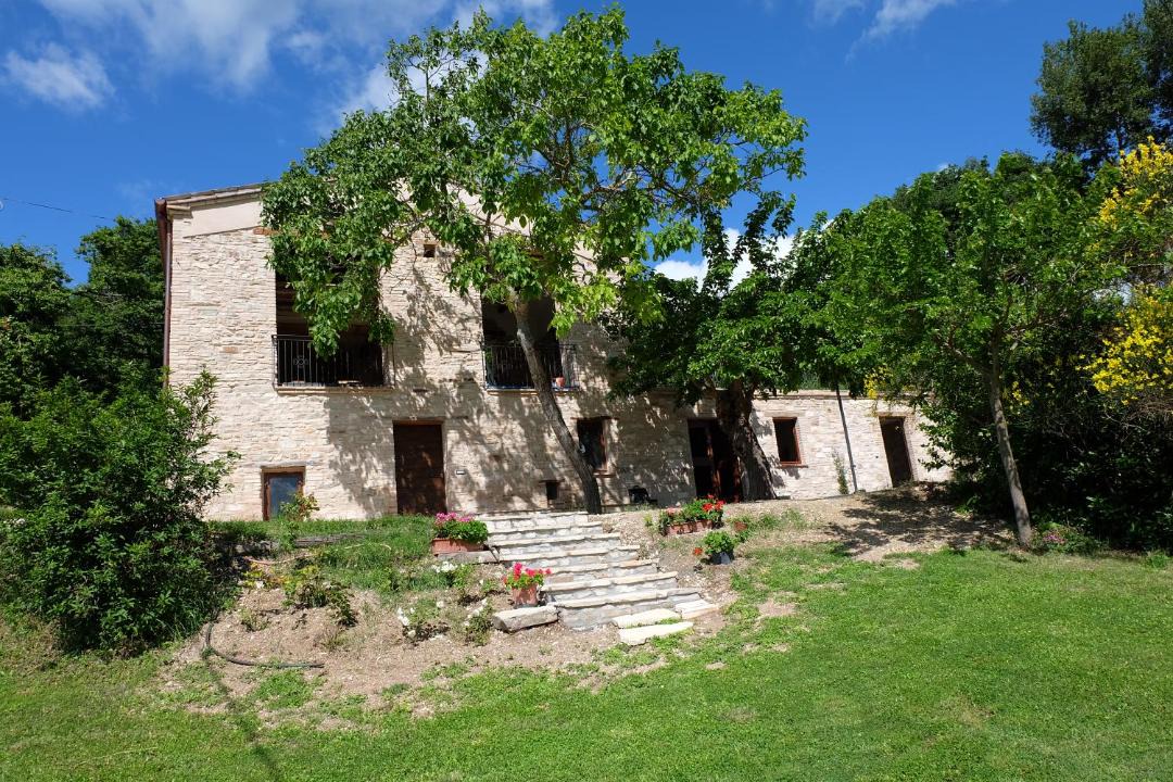 Photo of Others in Arcevia