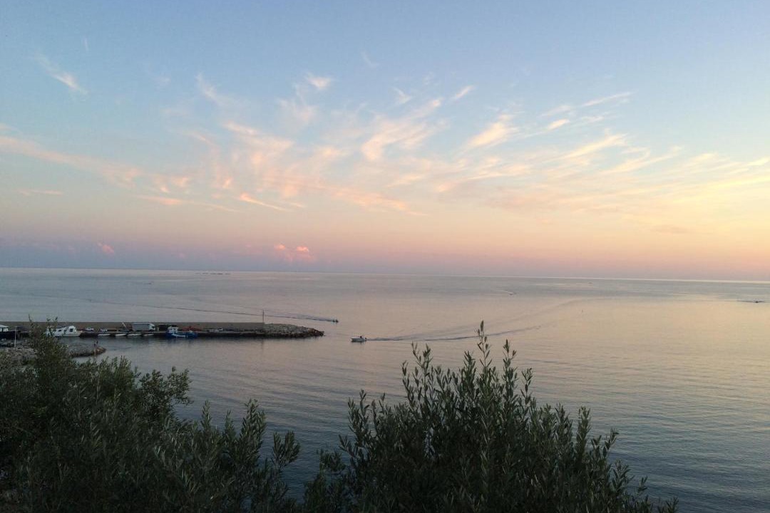 Photo of Others in Marina di Casal Velino