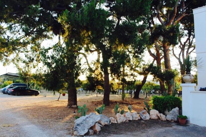 Photo of Others in Leverano