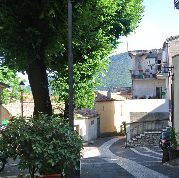 Photo of Others in Trentinara