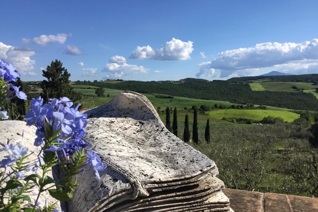 Photo of Others in Montepulciano