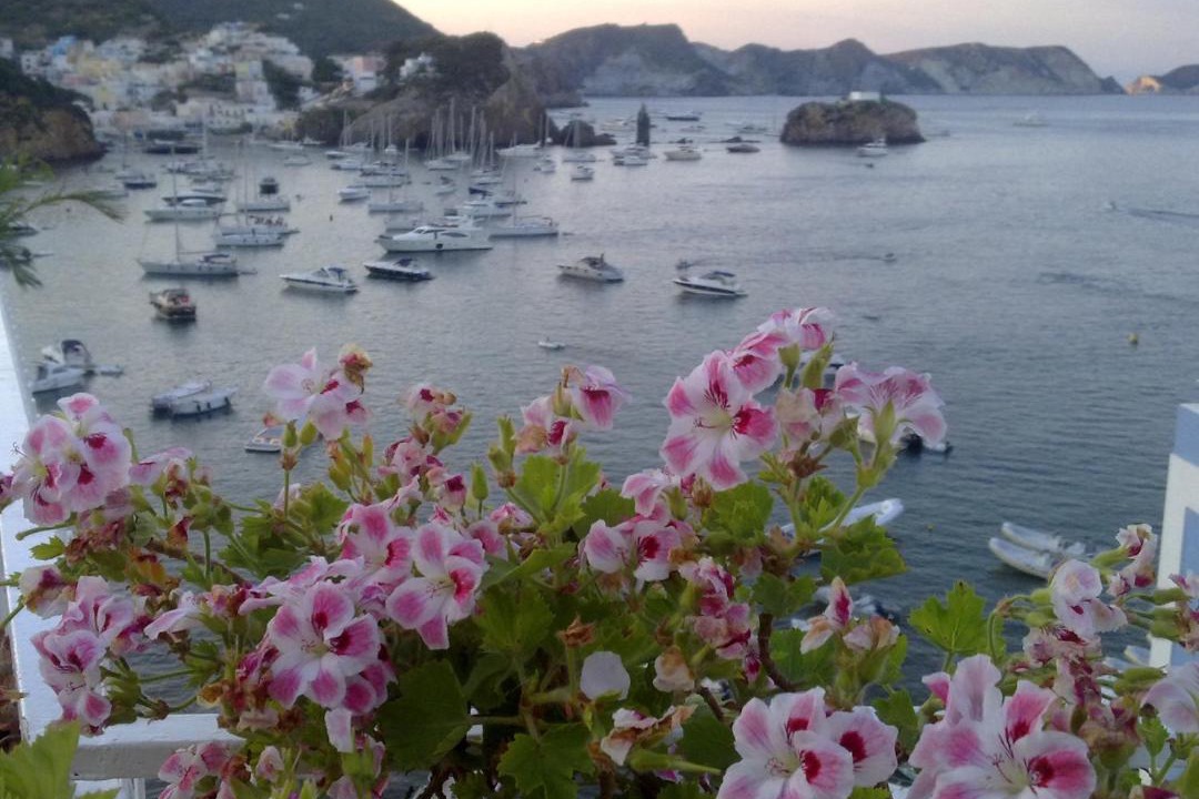 Photo of Others in Ponza