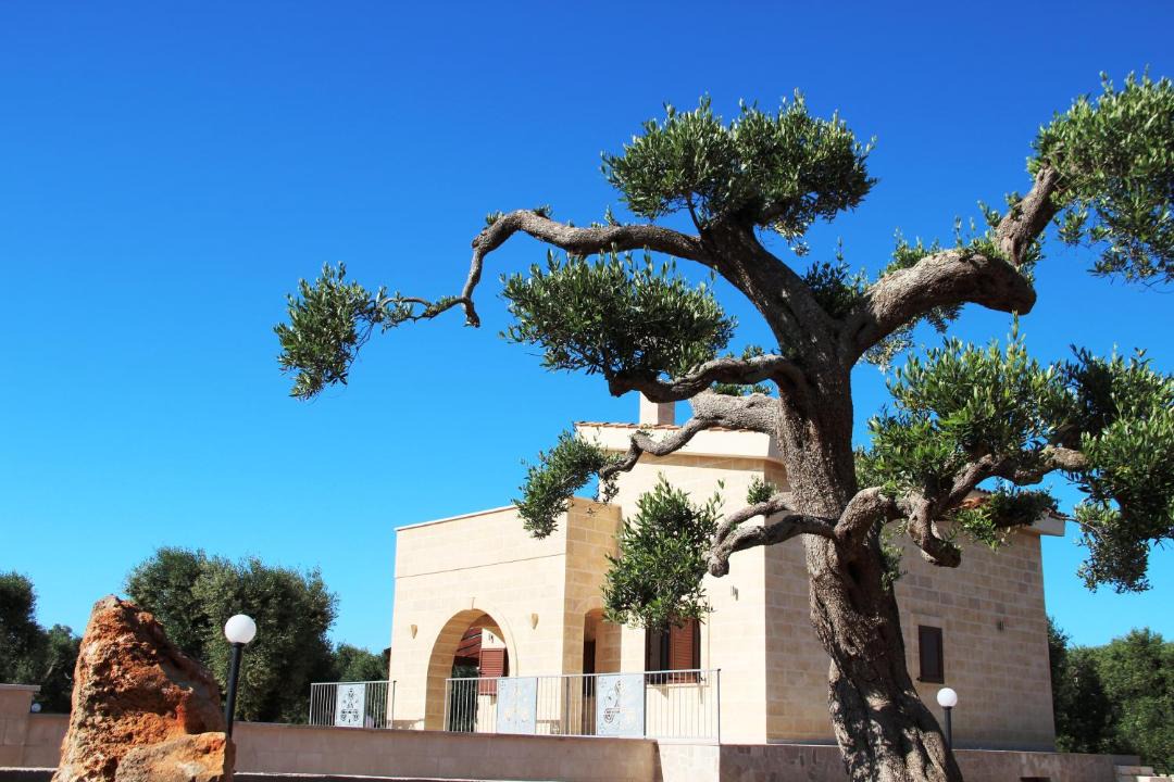 Photo of Others in San Vito dei Normanni