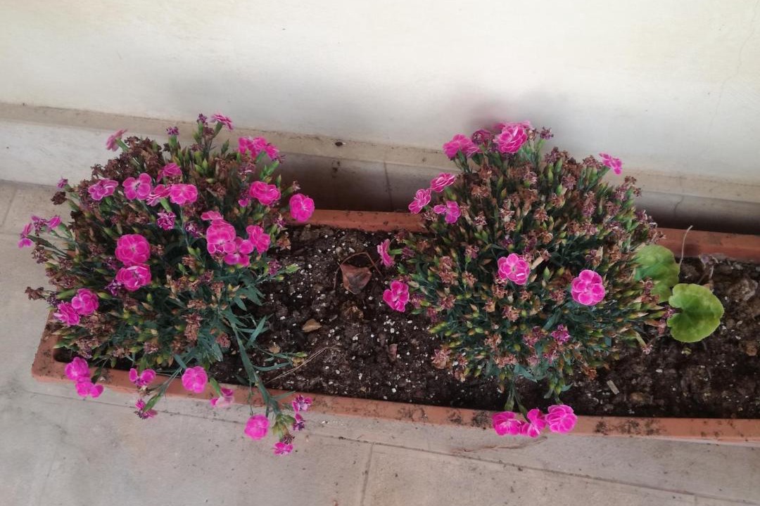 Photo of Others in Municipio 2