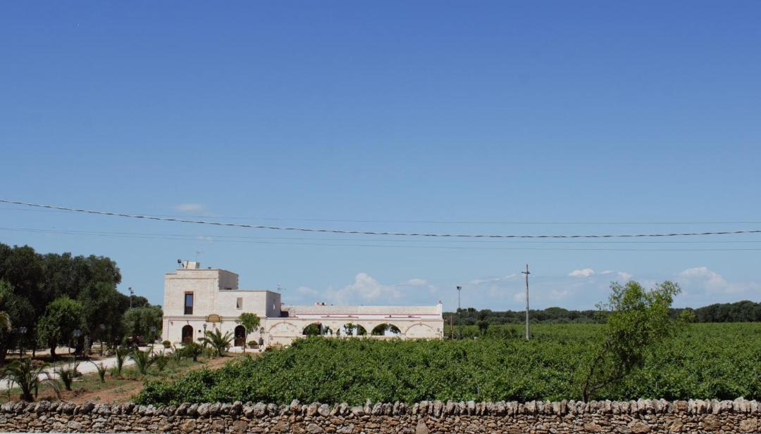 Photo of Others in Oria