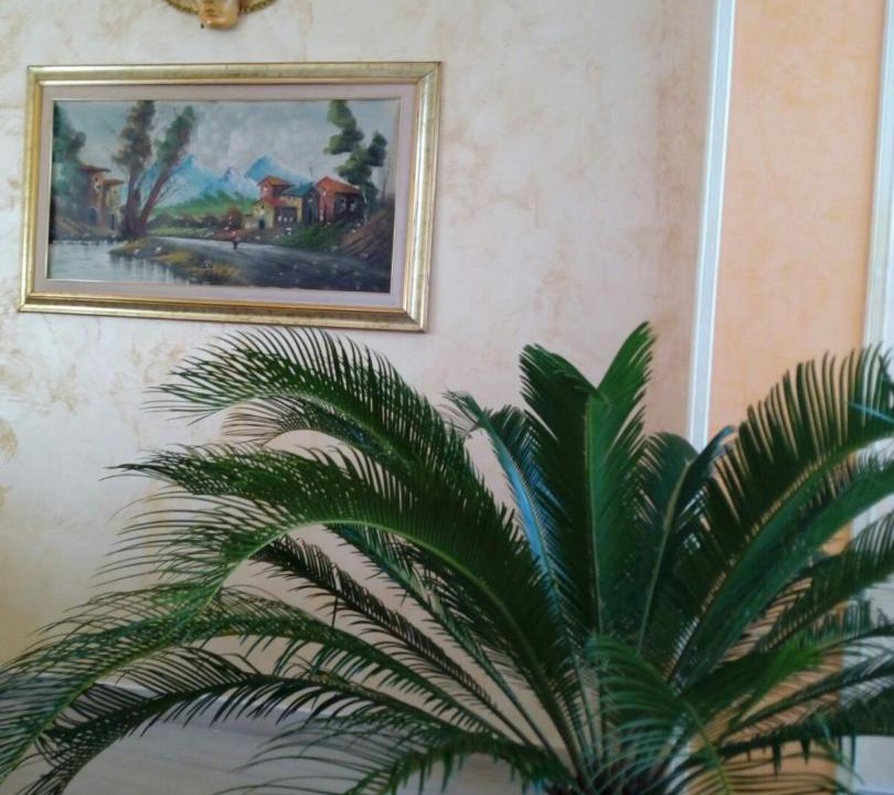 Photo of Others in Rieti