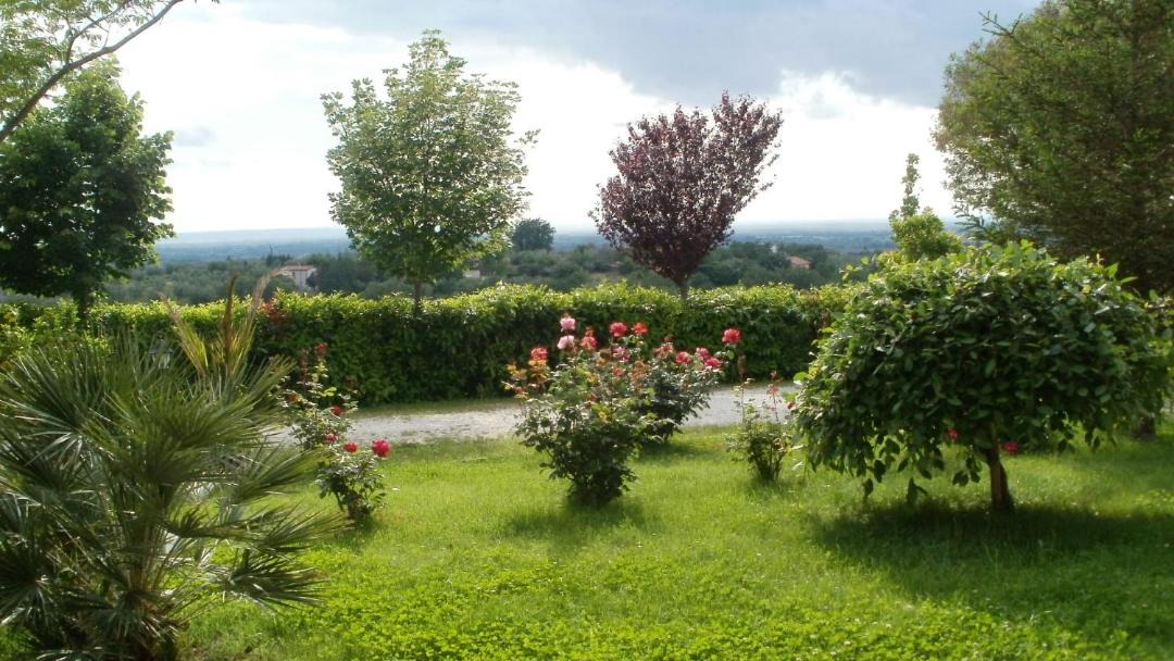 Photo of Others in Viterbo