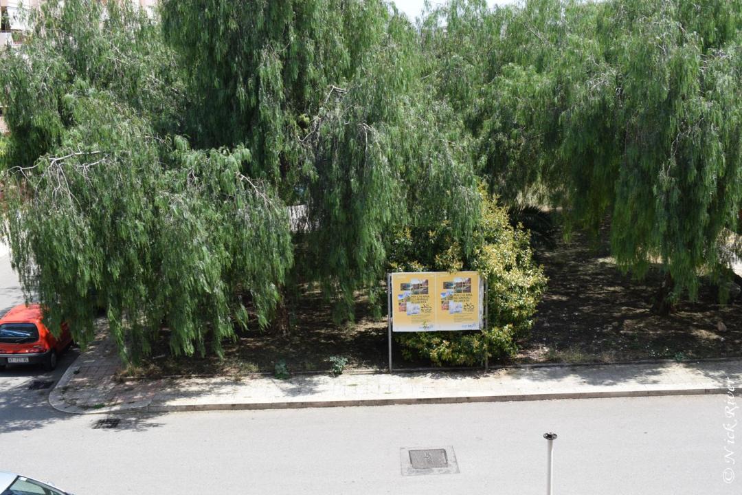 Photo of Others in Mola di Bari