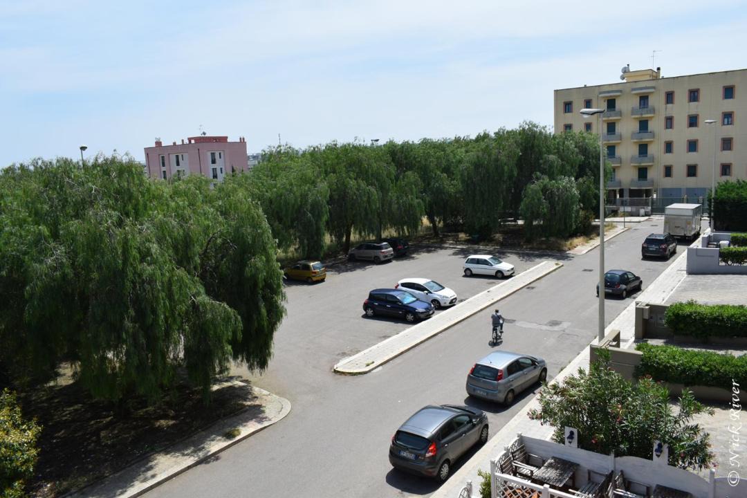 Photo of Others in Mola di Bari