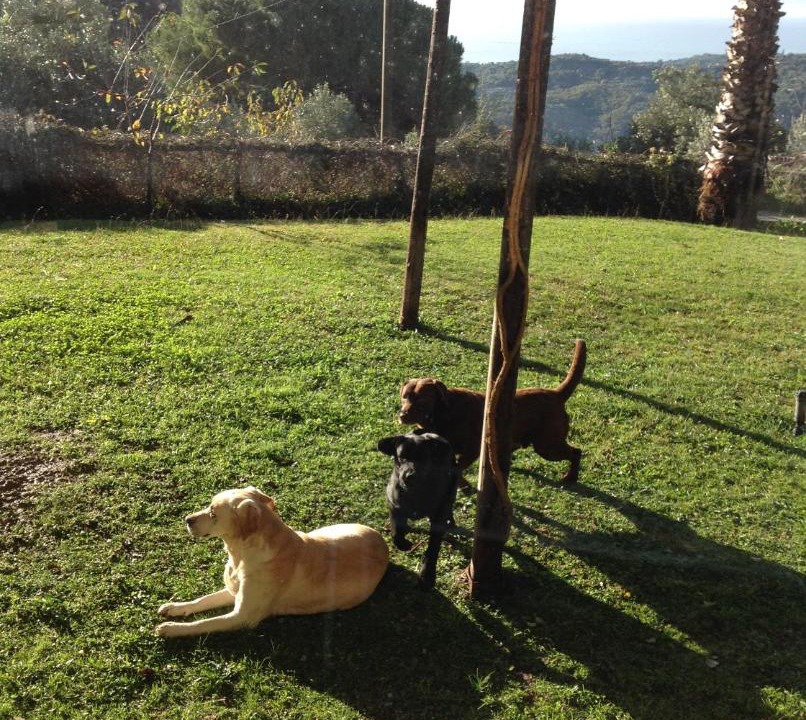 Photo of Others in Casal Velino