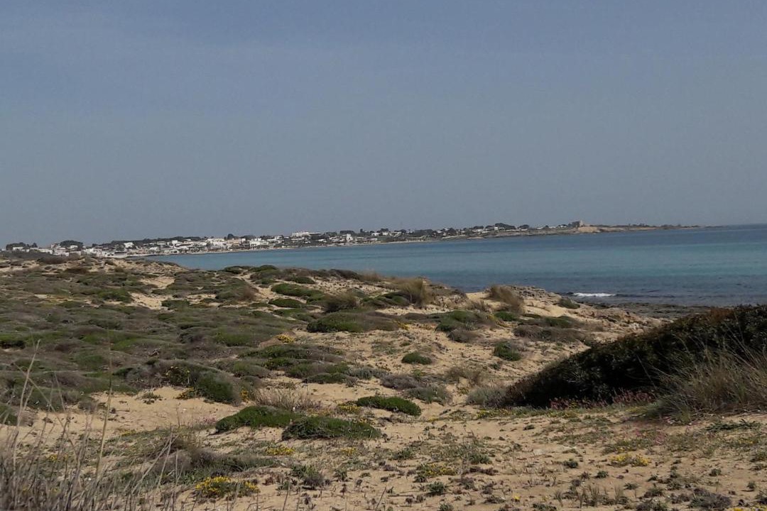 Photo of Others in Torricella