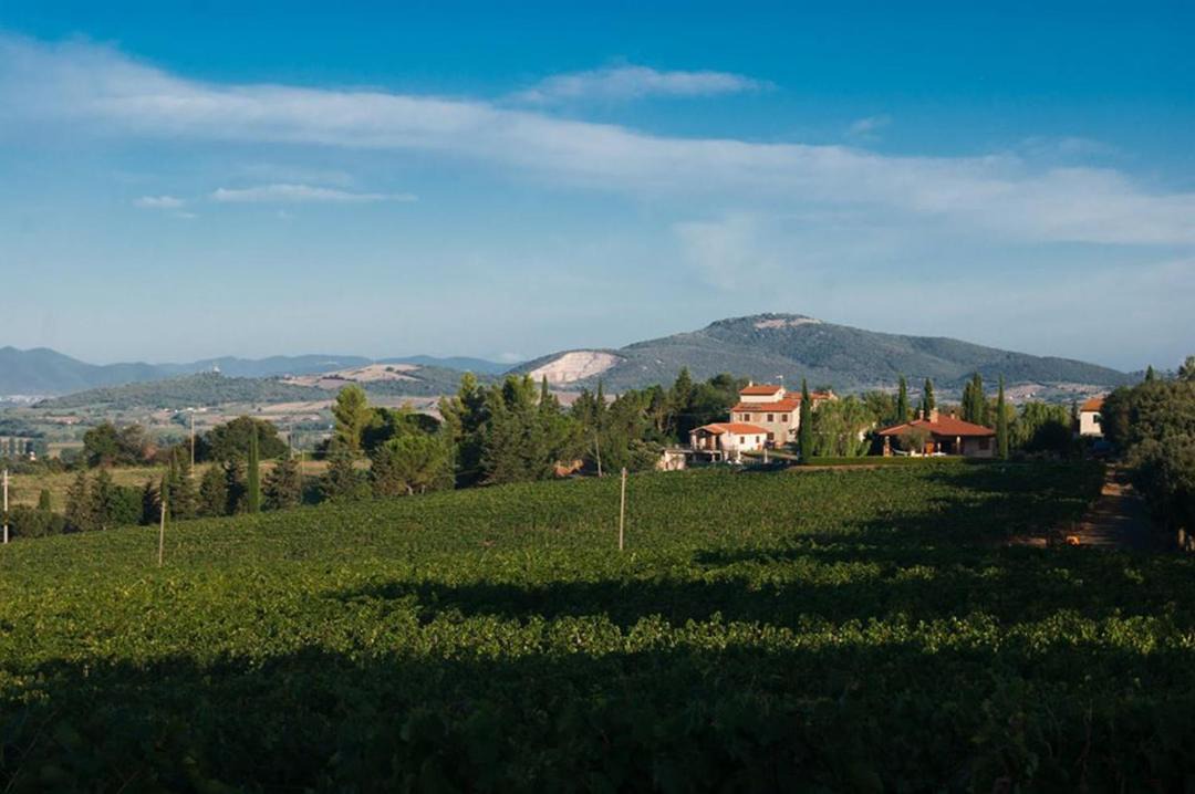 Photo of Others in Scansano