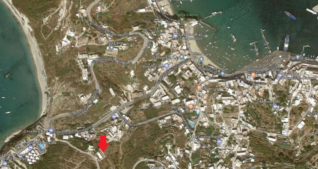 Photo of Others in Ponza