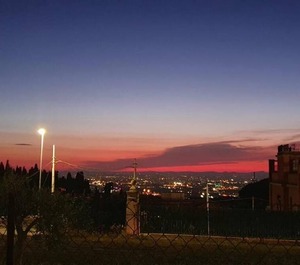 The Frascati 