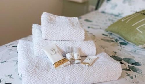Deluxe Room (2 Adults + 1 Child)