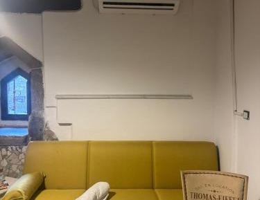 Family Studio
