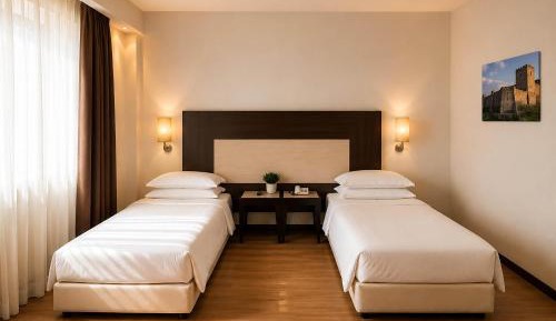 Comfort Double or Twin Room with Terrace