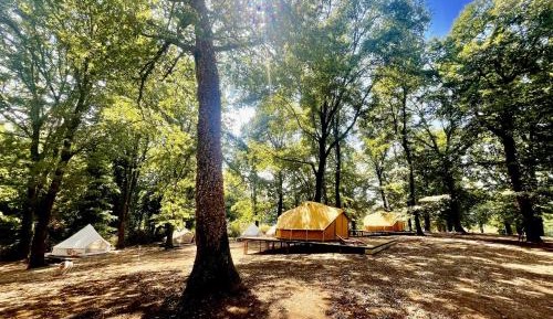 Tent  7 