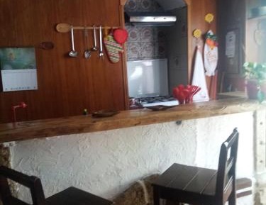 Standard Studio