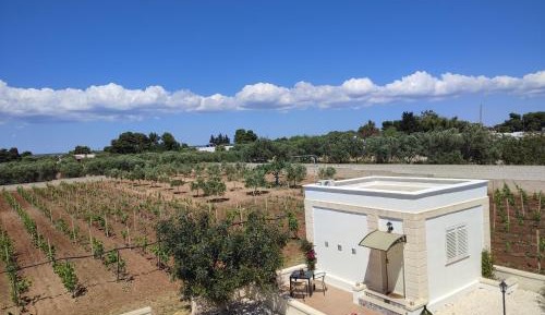 King Room with Garden View