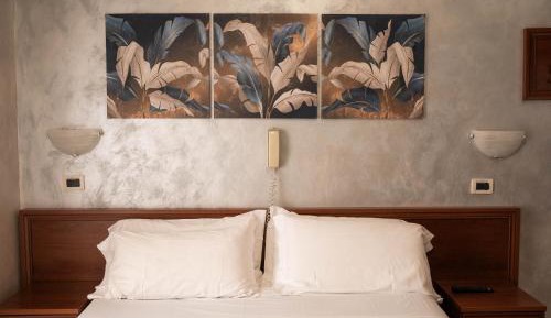 Superior Single Room