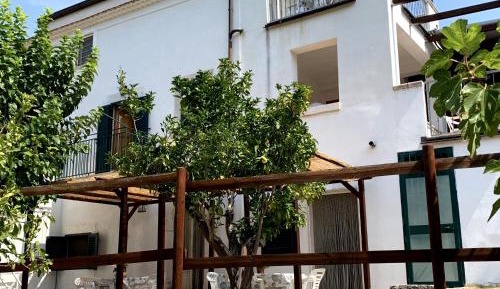 Apartment with Garden View