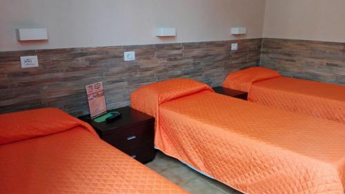 Single Bed in Male Dormitory Room