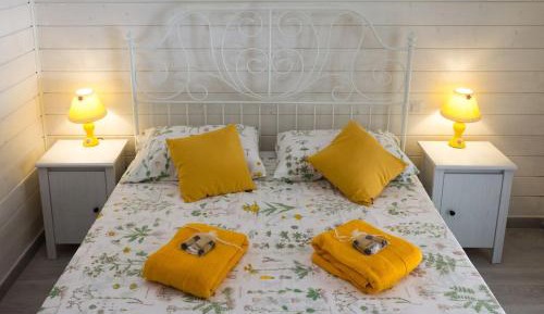 King Room with Roll-In Shower - Disability Access