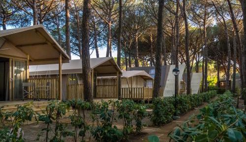 Tenda Mini Lodge 
