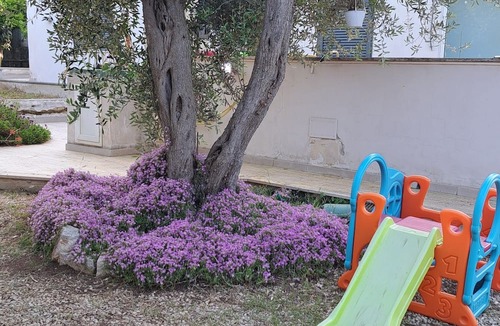 Santo Spirito Villa | Villa with large Garden and private parking 5 minutes from Bari Airport