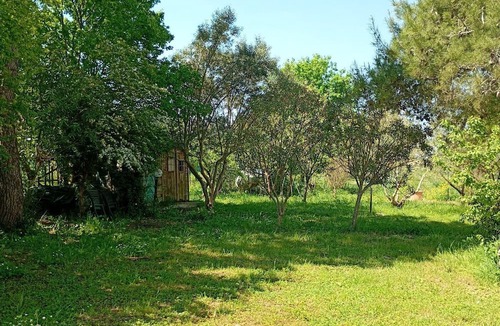 Loreto House | Country House Le Olghe Loreto - immersion in the hills of the Marches