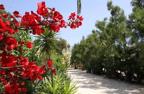 Brindisi House | Villa Beatrice, Torre Guaceto, Apulia