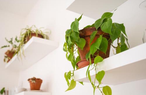 Pedeguarda di Follina House | Ethos Guest House