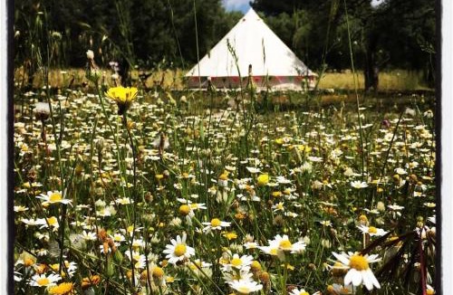 Noto Other | Carrubbella glamping & country village