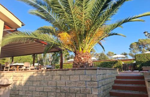 Pomaia Apartment | Appartamento Pomaia Resort con Giardino privato e piscina condominiale