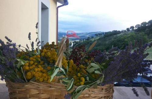 Padule House | Agriturismo Il Moro
