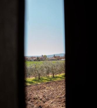 Affittacamere IL FAGIOLO MAGICO