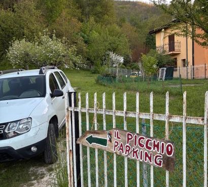 Il Picchio